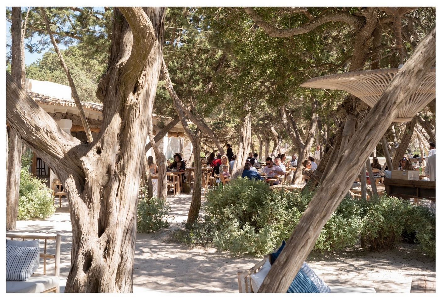 Ibiza's Culinary Delights: From Fine Dining to Beachside Feasts 6 Luxurious beach restaurant in the exclusive cala jondal in Ibiza